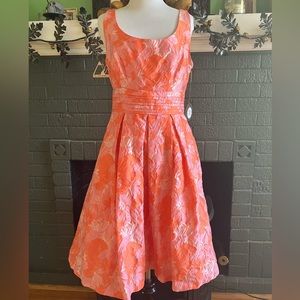 Eva Franco Peggy Dress Scarlet Rose floral size 6 | Prom Derby Wedding | NWT